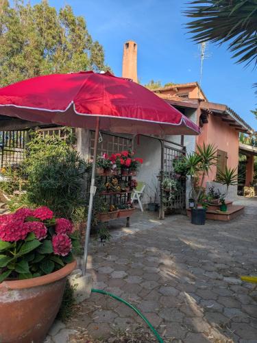 Sassari Apartment | Accogliente appartamento mansardato Casa dei girasoli