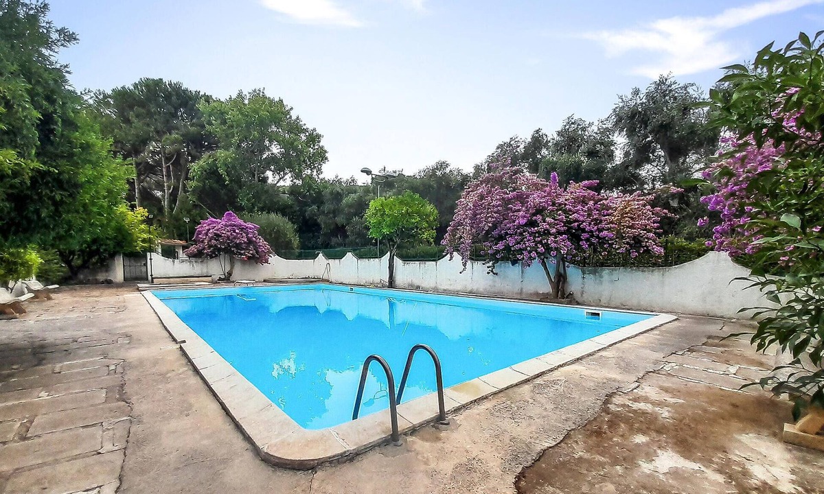 Vico del Gargano Apartment | Amazing apartment in Vico del Gargano
