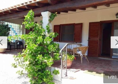 Tancau Sul Mare House | Angolo Relax due passi dal mare