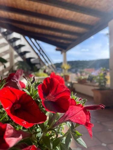 Villasimius House | Arega Rooms