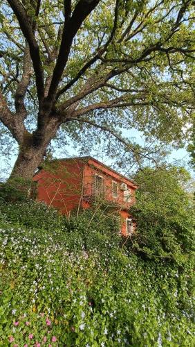 Austis Bed & Breakfast | B&B Kikina