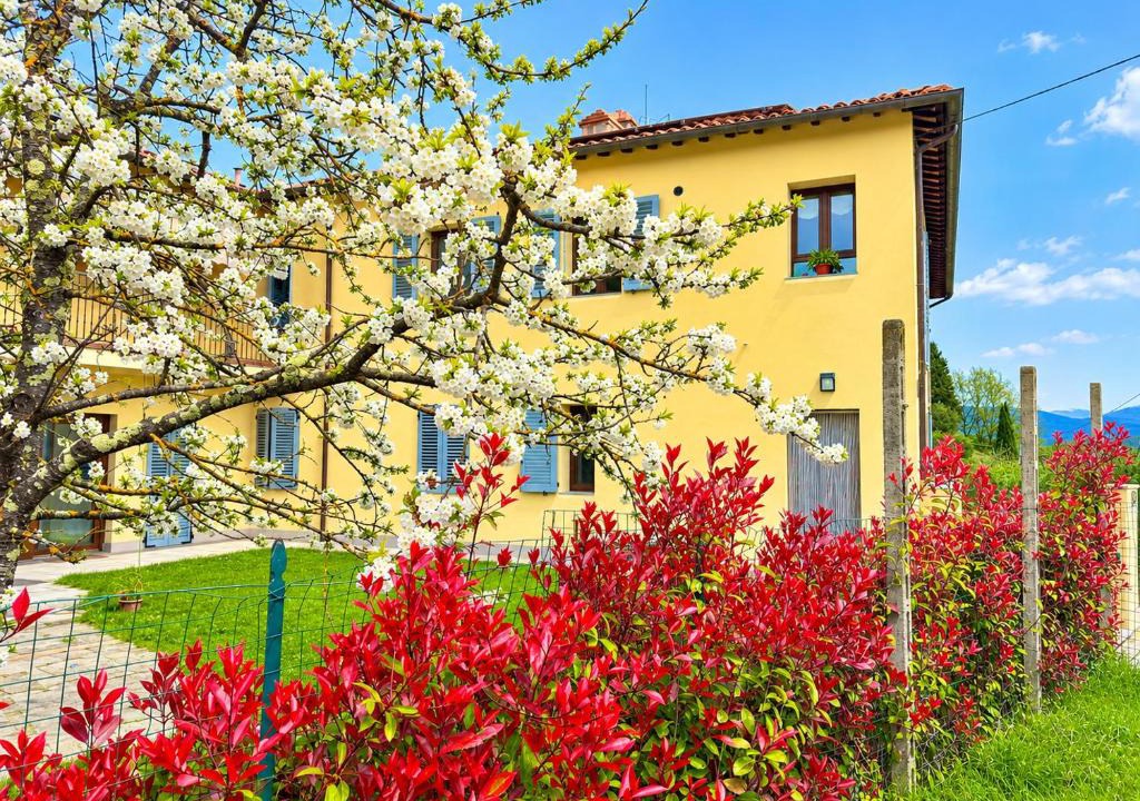 Terranuova Bracciolini Apartment | Casa Panorama on Top of the Hill in Tuscany