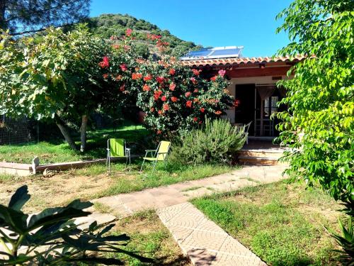 Tertenia House | Case 800 mt dal mare - Casa Flora e Casa Aurora
