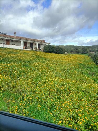 Berchidda Apartment | Funtana e Caddos apartment