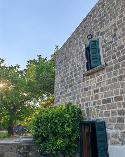 Pozzovetere House | Gli Ulivi del Nonno - Casale immerso nel verde a pochi chilometri dalla Reggia -