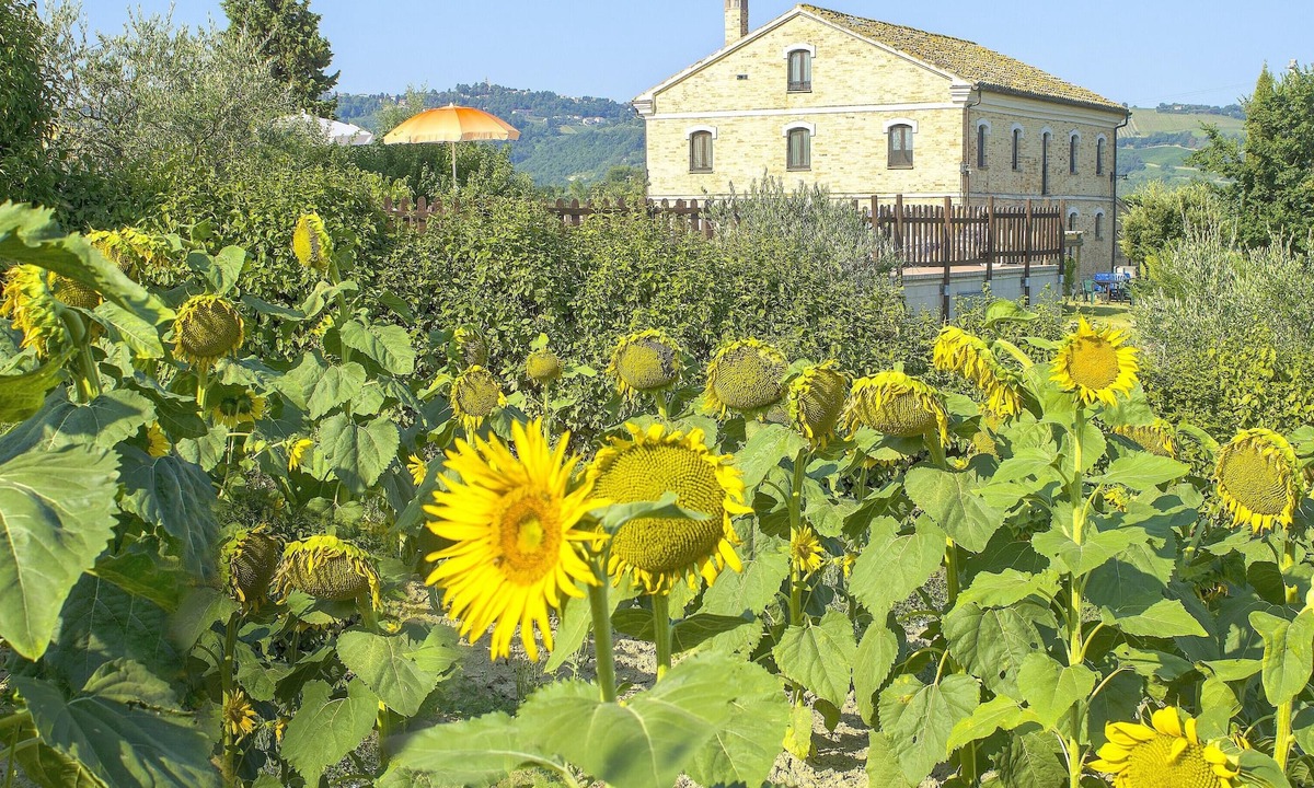 Montecarotto Villa | Homerez - Big villa for 20 ppl. with swimming-pool at Montecarotto