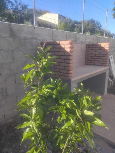 Lu Bagnu House | I mandorli