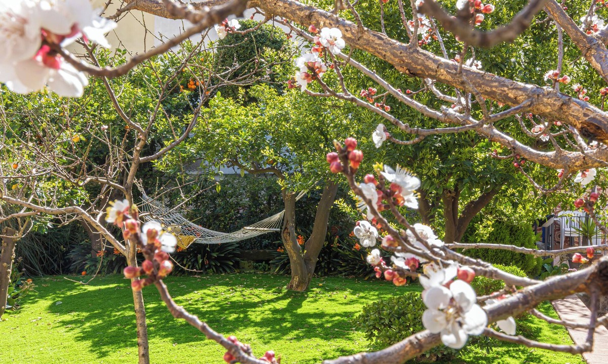 Meta House | Il giardino dei Gigli, few steps from the sea
