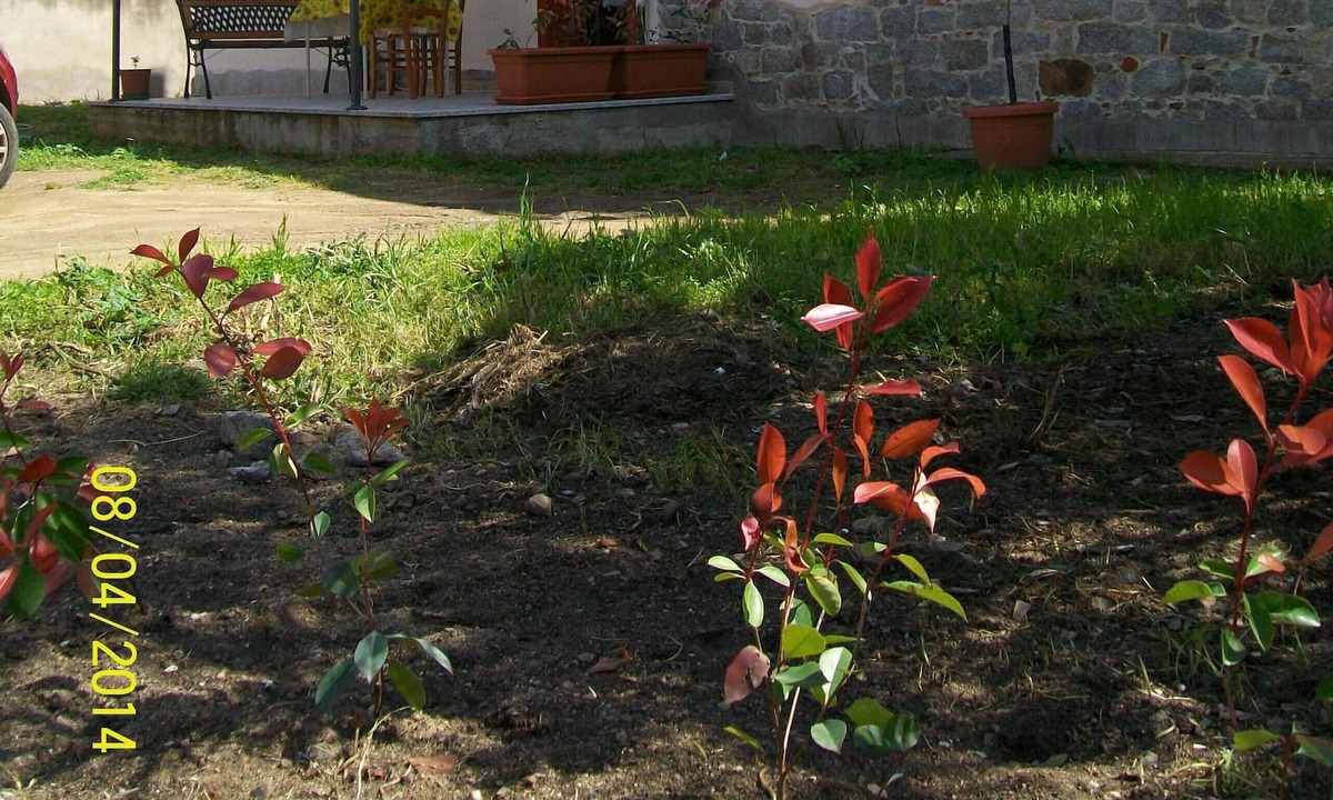 Bari Sardo House | Spacious Detached House in BariSardo, a Short Distance from the Beaches.