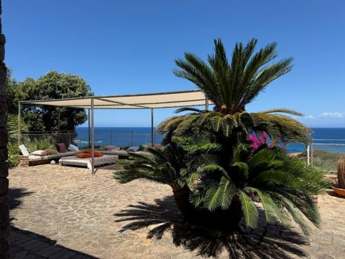 Portobello Villa | Villa Le Palme