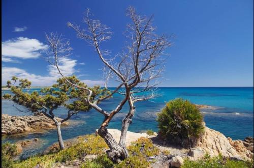 Cala Liberotto House | Villa Vera trifamigliare con ingresso diretto 20 mt al mare clima wi-fi bbq