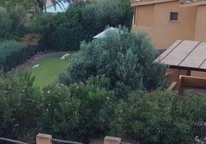 Casa vacanze Villasimius (Spiaggia di Campus)