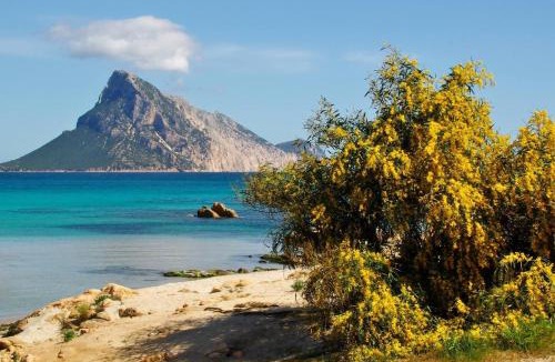 Monte Petrosu Apartment | 5min. to the sea - Villetta Iolanda | San Teodoro