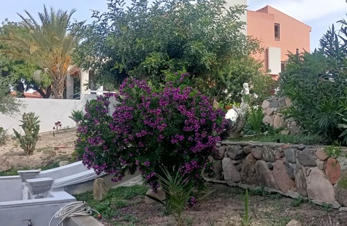 Quartu Sant'Elena Villa | A two-family villa located about 1.5 km from Poetto Beach