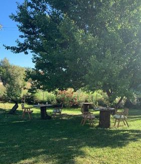 Buddittogliu Straulas Bed & Breakfast | Affittacamere La Petra Longa