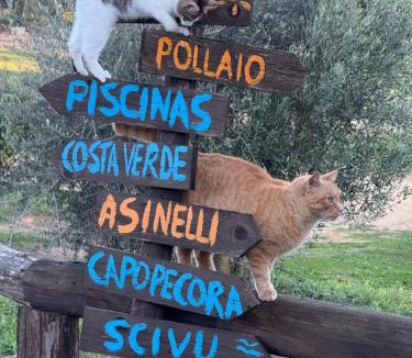 Arbus House | Agriturismo Sa Perda Marcada