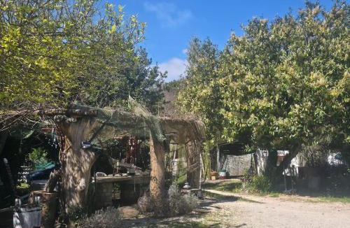 Norma House | Ancient Norba's House - Casa dell' Antica Norba