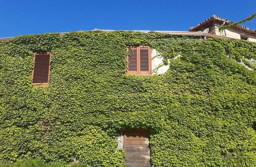 Montecani Apartment | Apartment surrounded by greenery between Iglesias and Fluminimaggiore.