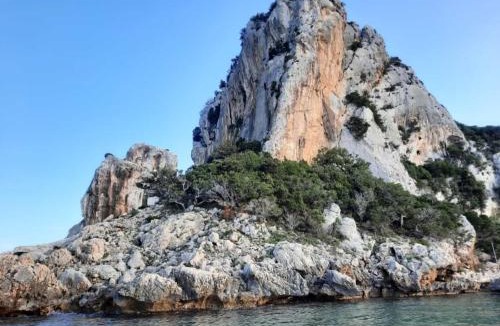 Cala Gonone Apartment | appartamento Oleandro