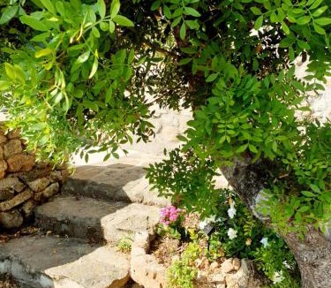 Costa Dorata House | Appartamento Vasiliki