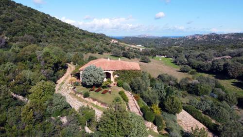 Arzachena Bed & Breakfast | B&B La Murichessa