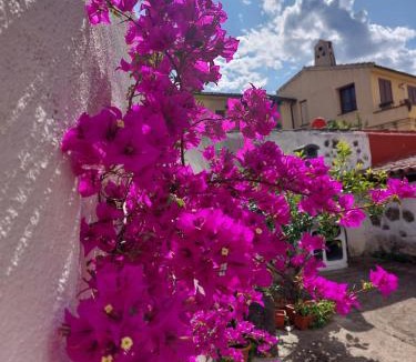 Galtelli Bed & Breakfast | B&B Mes' Agustu