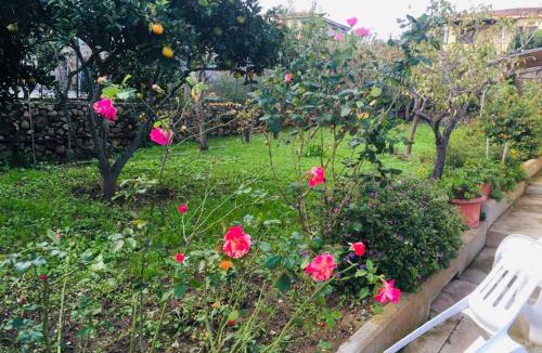 Suaredda-Traversa Bed & Breakfast | B&b Sa Domo