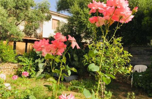 Suaredda-Traversa Bed & Breakfast | B&b Sa Domo