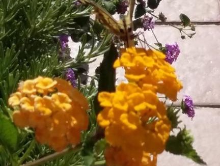 Gergei Historic Centre Bed & Breakfast | B&B Sa Domu de Maria