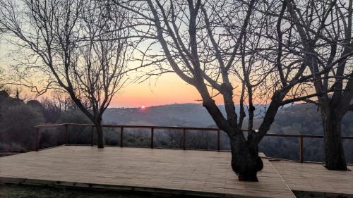 Montefiore Conca Bed & Breakfast | "CARA PACE" in collina - Guest House