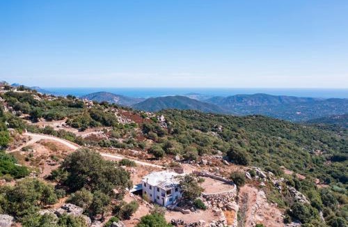Arzana House | Casa Ami