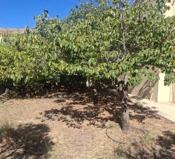 Padru House | Casa Anna