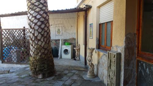 Pau Apartment | Casa Michele