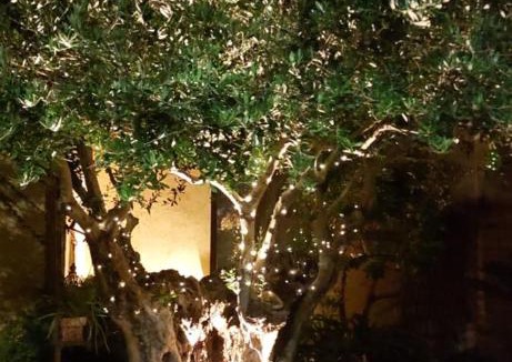 Province of Cagliari House | Casa Vacanze L'Ulivo di Ugo
