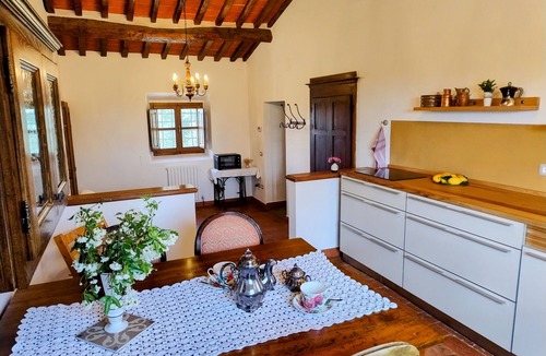 Montecchio House | Charming Apartment in the Tuscan Countryside surrounded by olive groves