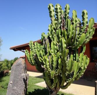Oristano House | CuccuruAio' B&B 10 minuti da Torregrande