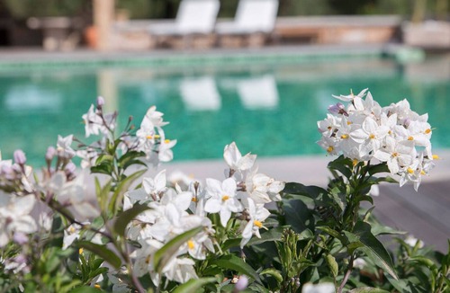 Sa Castangia Cottage | Dreamy Villa d 'Autore with pool. Costa Smeralda 4 bedrooms 5 baths