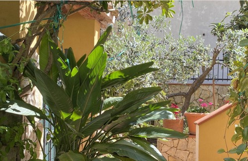 Urzulei Bed & Breakfast | Exploring Sardinia's Mounts and Beaches