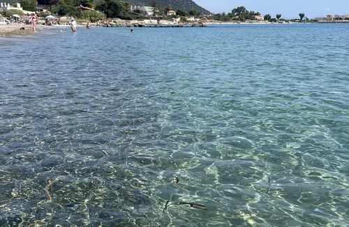 Province of Cagliari Villa | Farmhouse by the sea with swimming pool and 150 meters from the sea