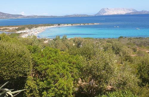 Luddui House | Ferienhaus Panorama, San Teodoro, Isuledda