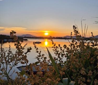Murta Maria Apartment | Flamingo 9 - Olbia - Località Murta Maria
