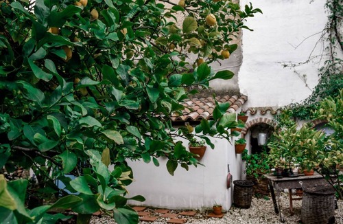 Oliena Apartment | Giardino dei Limoni Rooms 2