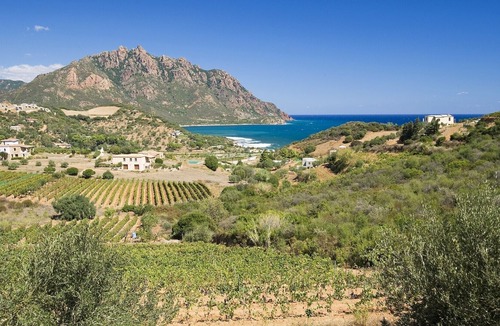 Tertenia House | Holiday Home 'Casa Luisa' close to Historic Centre with Balcony & Wi-Fi