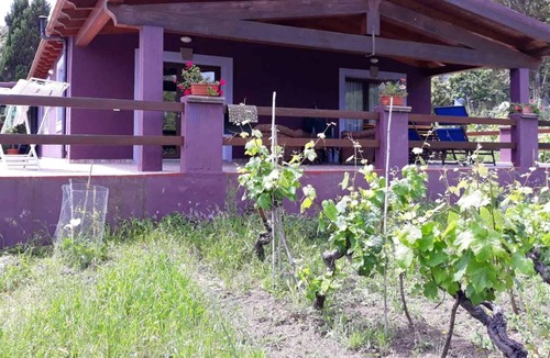 Sedini Apartment | Homerez - Beautiful apartment With sea view and garden