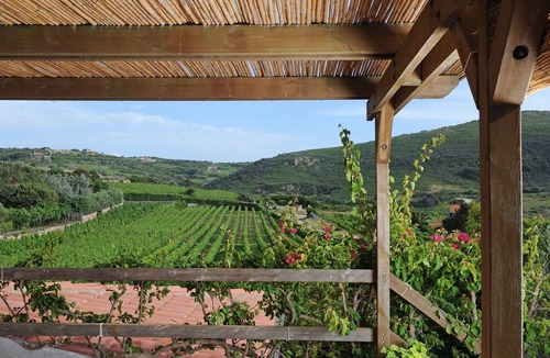 Magomadas Apartment | House in the vineyard with sea view (2)