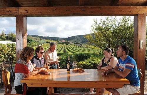 Magomadas Apartment | House in the vineyard with sea view (2)