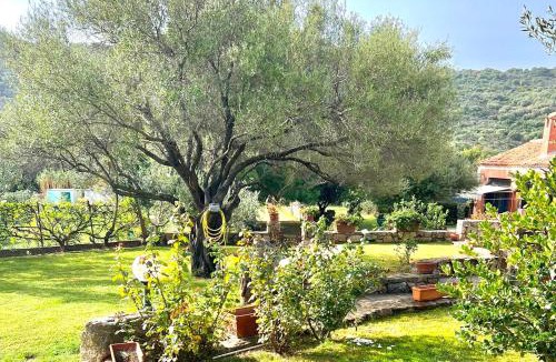 Luddui Villa | ISS Travel, Li Funnesi House - with private garden, air-condition and two bathrooms