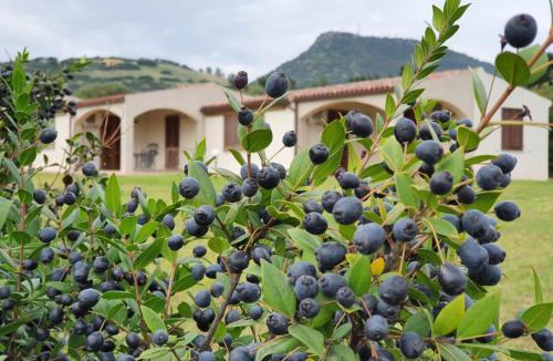 La Ciaccia Apartment | La Casa di Spinosella