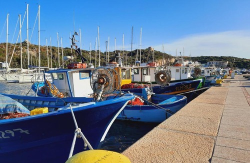 Santa Teresa di Gallura Apartment | La Residenza del Porto