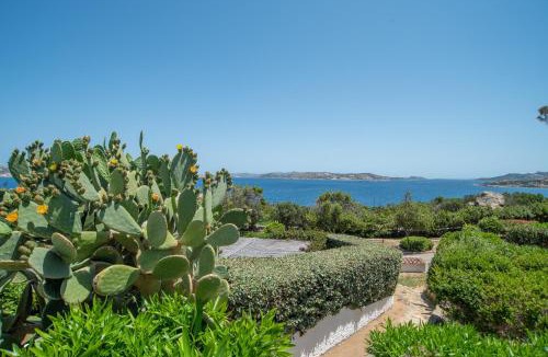 Porto Rafael Apartment | Monolocale Bibi 26